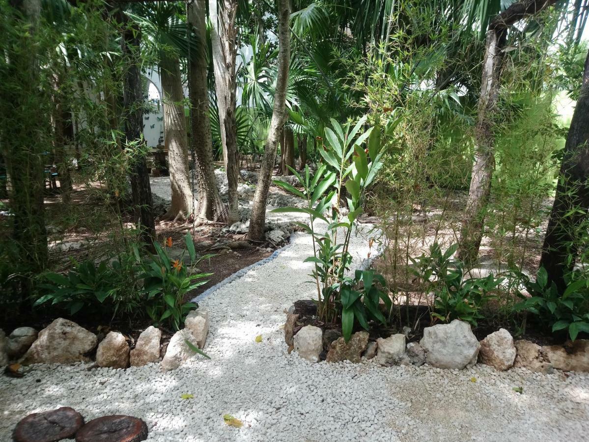 Casita Rustica En La Selva 호텔 칸쿤 외부 사진